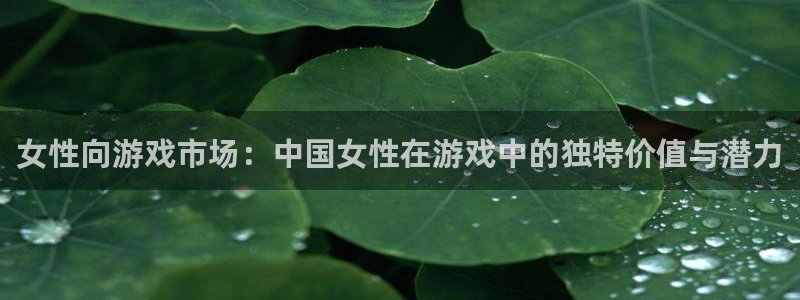 bg大游电子科技怎么样：女性向游戏市场：中国女性在游戏中的独特价值与潜力