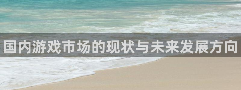 bg大游酒庄：国内游戏市场的现状与未来发展方向