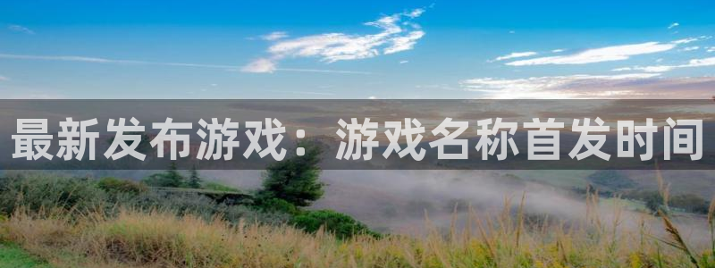 bg大游子公司怎么样知乎：最新发布游戏：游戏名称首发时间
