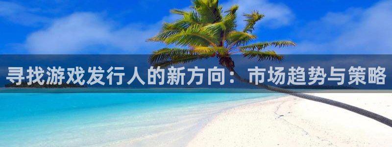 bg大游官网注册平台怎么注册：寻找游戏发行人的新方向：市场趋势与策略
