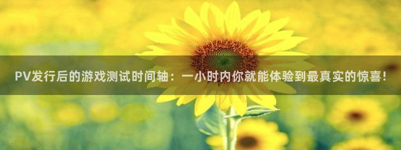 bg大游官网平台怎么样可靠吗：PV发行后的游戏测试时间轴：一小时内你就能体验到最真实的惊喜!