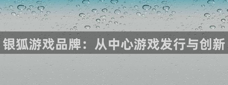 bg大游官网注册方法是什么：银狐游戏品牌：从中心游戏发行与创新