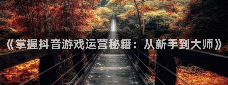 bg大游官网解绑银行卡怎么操作：《掌握抖音游戏运营秘籍：从新手到大师》