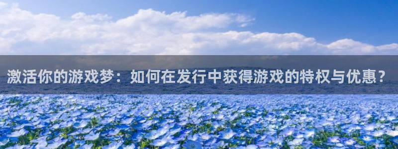 bg大游官网登录注册不了怎么办：激活你的游戏梦：如何在发行中获得游戏的特权与优惠？