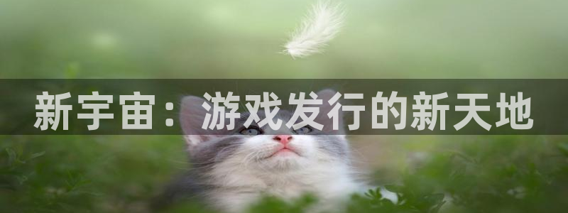 bg大游子文化有什么游戏：新宇宙：游戏发行的新天地