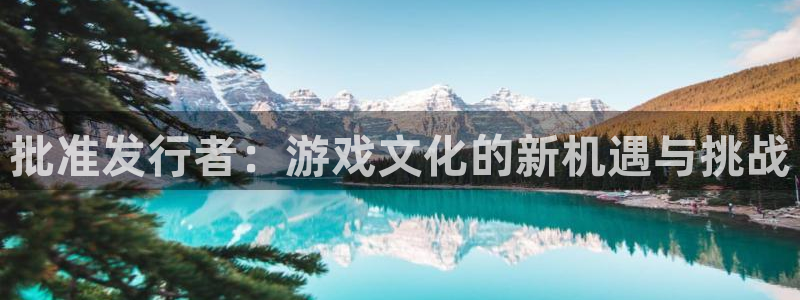 bg大游电子科技股票