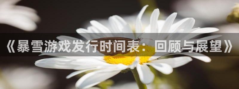 bg大游官网平台怎么样知乎：《暴雪游戏发行时间表：回顾与展望》