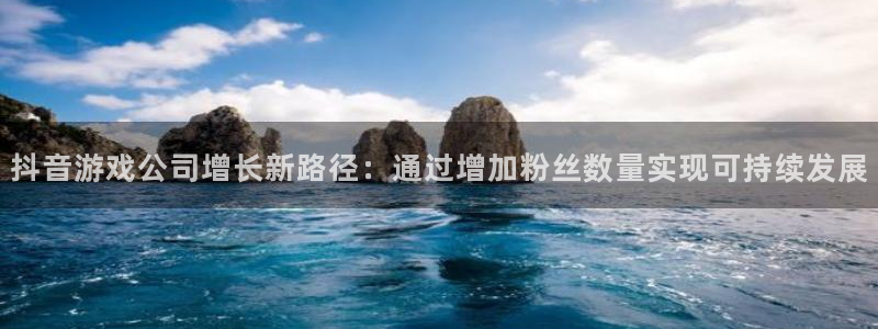 bg大游电子商务有限公司怎么样啊：抖音游戏公司增长新路径：通过增加粉丝数量实现可持续发展