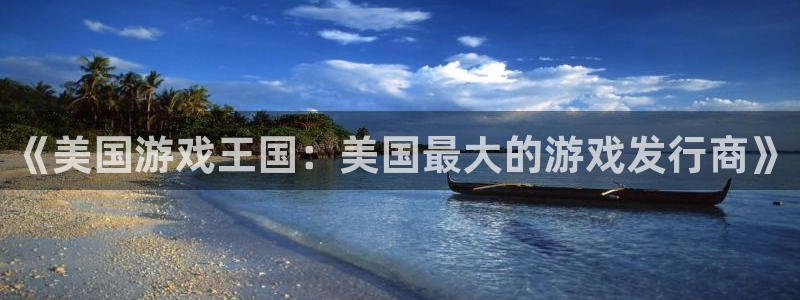 陕西bg大游子文化创意有限公司1：《美国游戏王国：美国最大的游戏发行商》