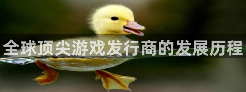 bg大游子出版社董事长：全球顶尖游戏发行商的发展历程