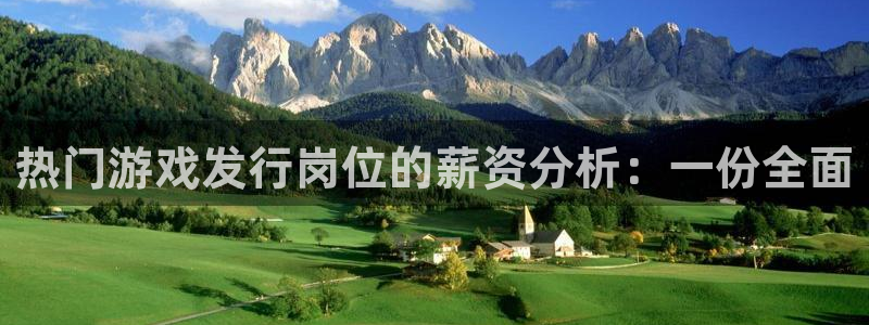 bg大游官网官网注册账号：热门游戏发行岗位的薪资分析：一份全面