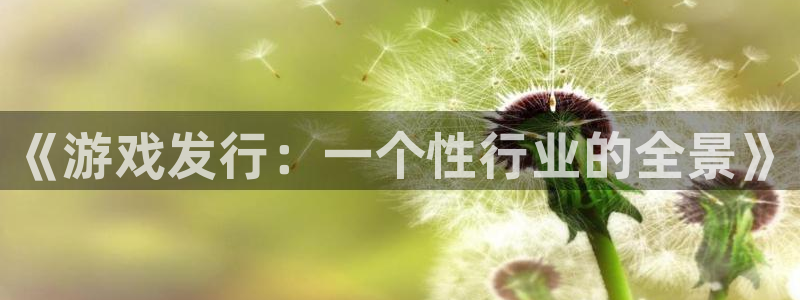 bg大游电商怎么样：《游戏发行：一个性行业的全景》