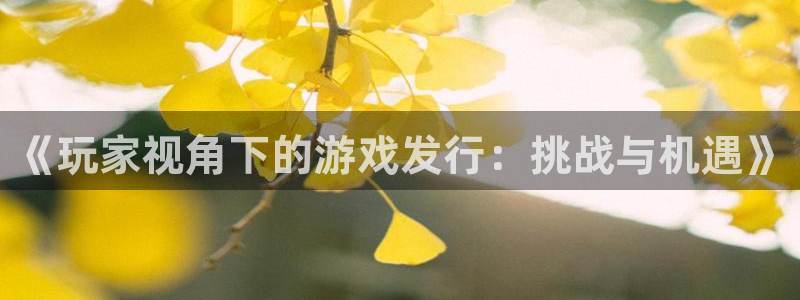 bg大游官网平台合法吗：《玩家视角下的游戏发行：挑战与机遇》