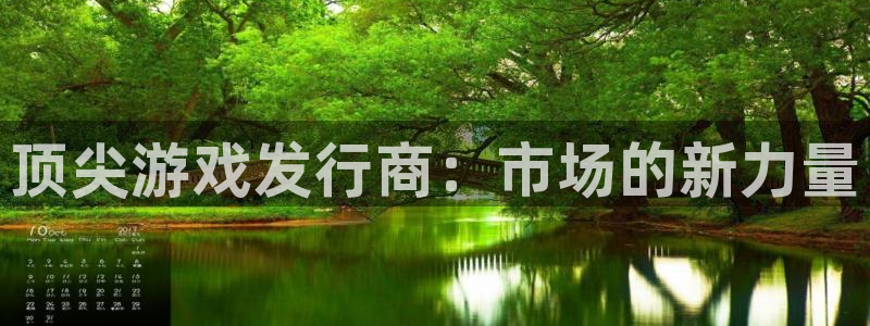 bg大游官网怎么注册账号：顶尖游戏发行商：市场的新力量