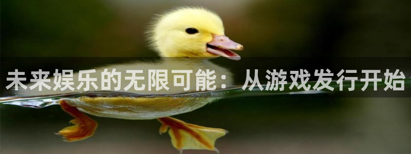 bg大游官网注册平台：未来娱乐的无限可能：从游戏发行开始