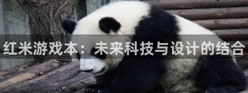 bg大游子公司怎么样：红米游戏本：未来科技与设计的结合