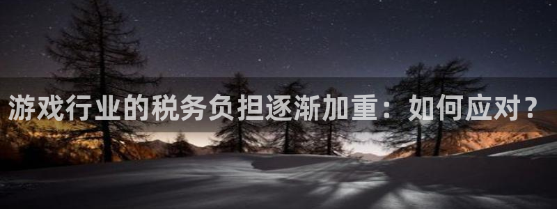 bg大游官网游戏平台介绍：游戏行业的税务负担逐渐加重：如何应对？