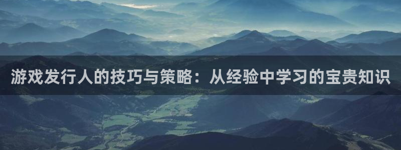 bg大游官网代理开号平台：游戏发行人的技巧与策略：从经验中学习的宝贵知识