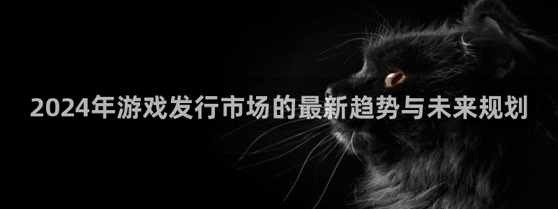 bg大游子书店：2024年游戏发行市场的最新趋势与未来规划
