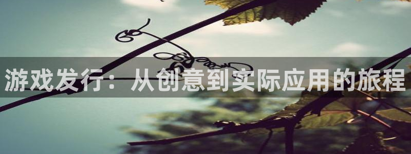 bg大游子文化游戏：游戏发行：从创意到实际应用的旅程