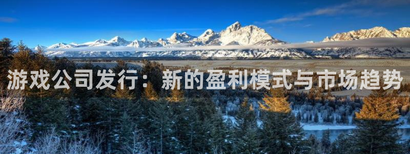 bg大游官网客服电话：游戏公司发行：新的盈利模式与市场趋势