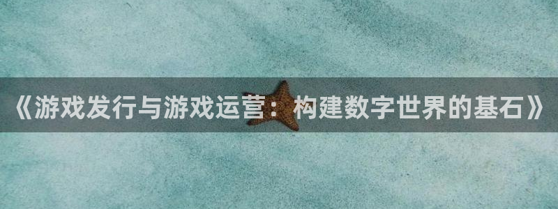 江苏bg大游人力资源有限公司怎么样：《游戏发行与游戏运营：构建数字世界的基石》