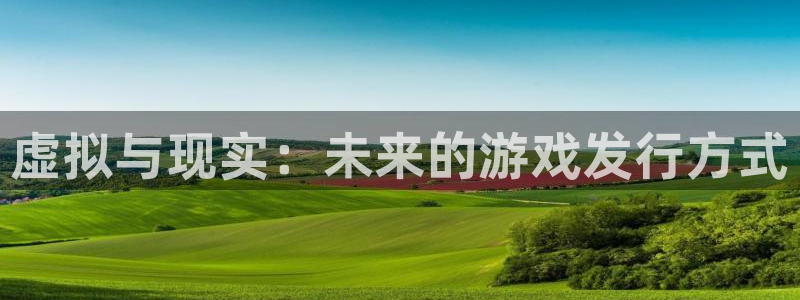 bg大游官网代理开号平台：虚拟与现实：未来的游戏发行方式