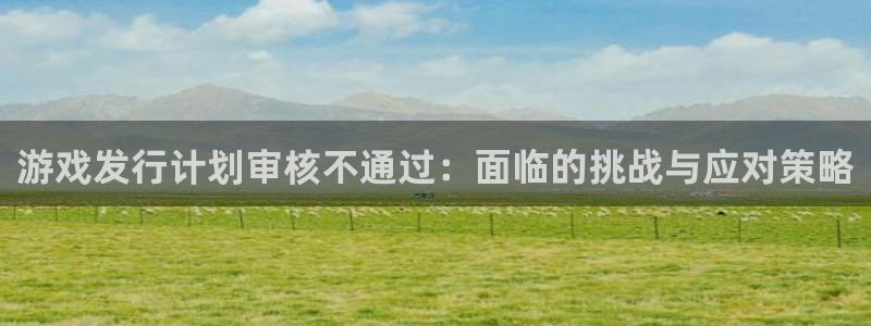 bg大游子 到底怎么样：游戏发行计划审核不通过：面临的挑战与应对策略