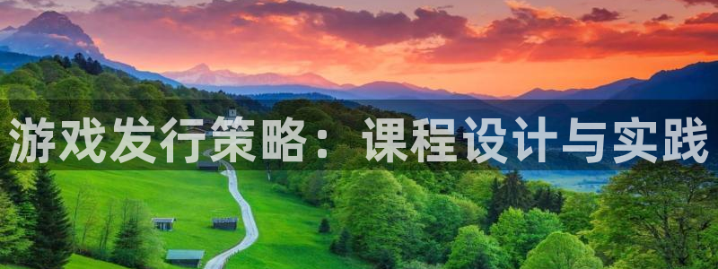 深圳bg大游电商