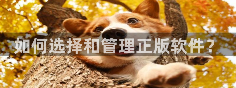 bg大游子传媒集团ceo